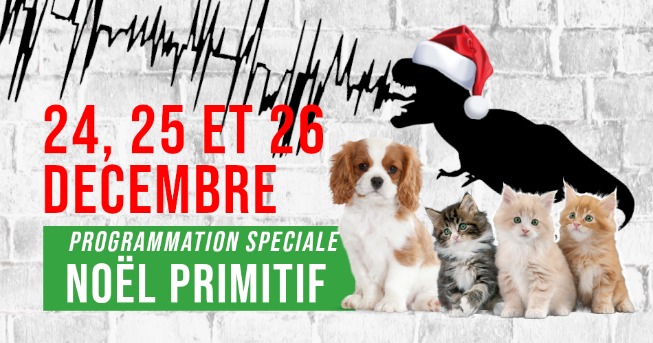 Programmation spéciale pour un Noël Primitif !