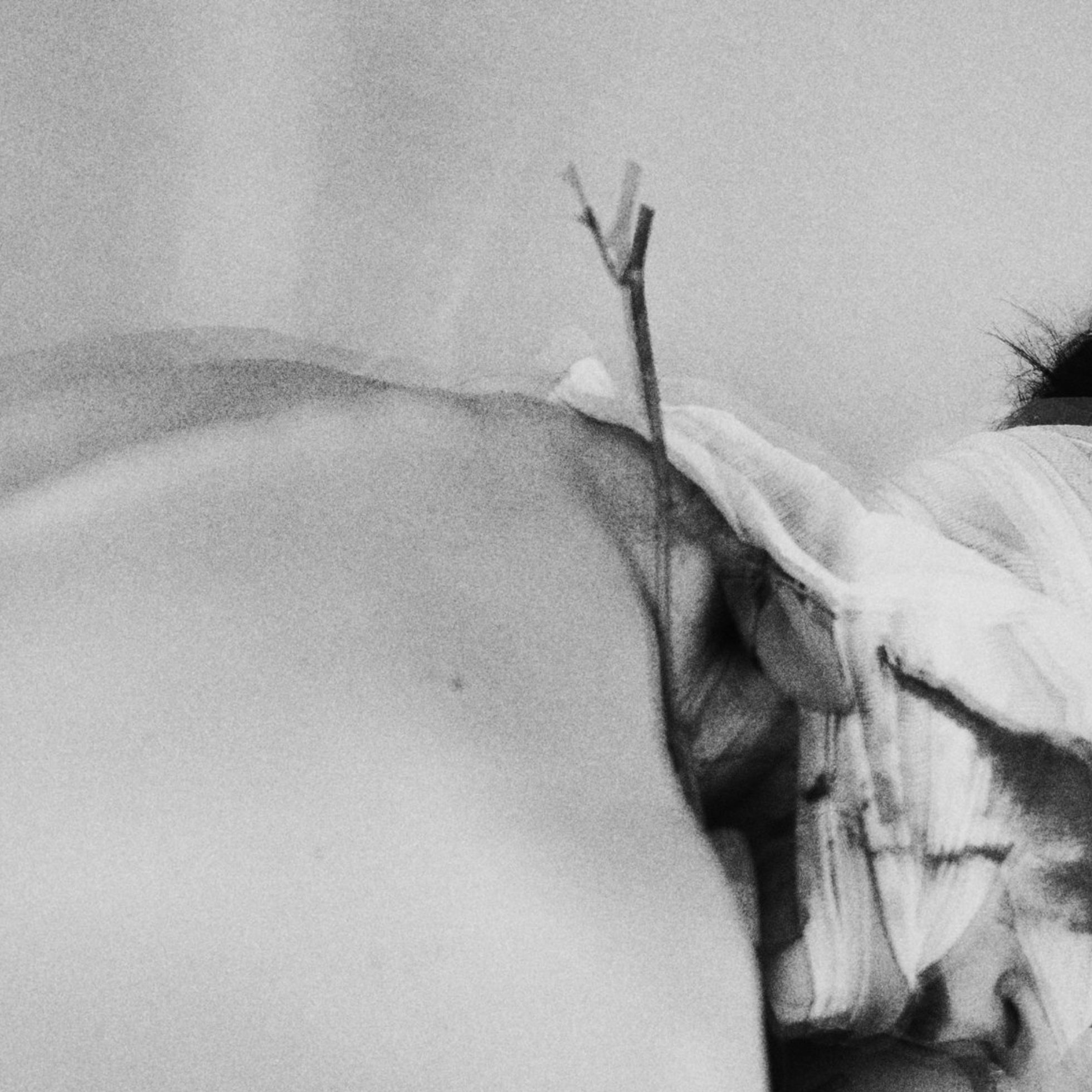 On découvre les Nava Calma 